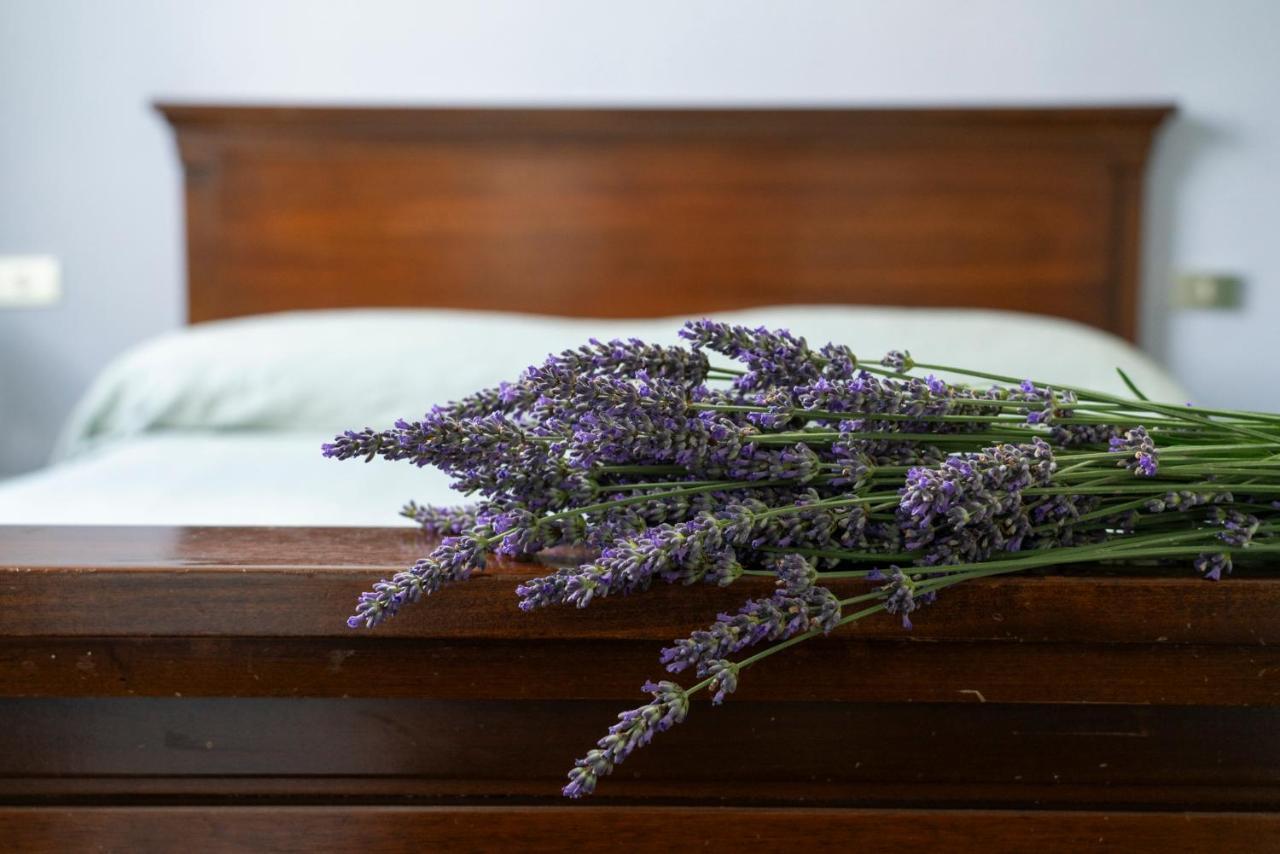 Lago Maggiore A 10 Minuti "Cascina Lavanda" Casalzuigno Extérieur photo
