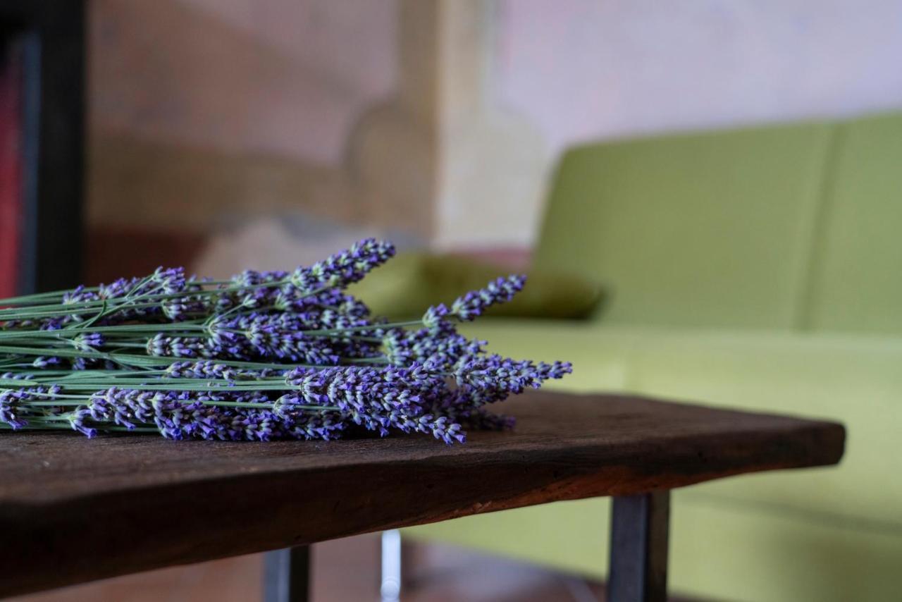 Lago Maggiore A 10 Minuti "Cascina Lavanda" Casalzuigno Extérieur photo